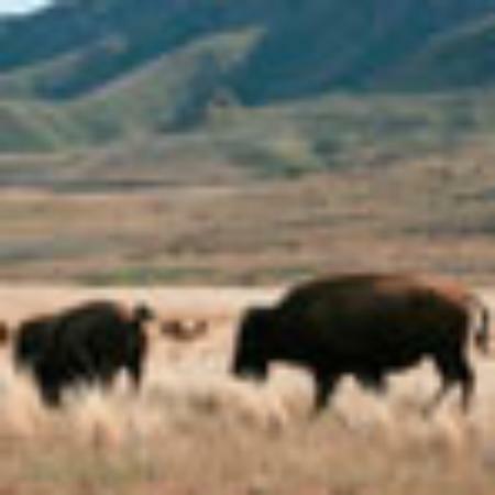 Randy's Bantayan Island Resort